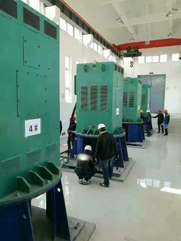鹤岗某污水处理厂使用我厂的立式高压电机安装现场