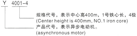 西安泰富西玛Y系列(H355-1000)高压鹤岗三相异步电机型号说明
